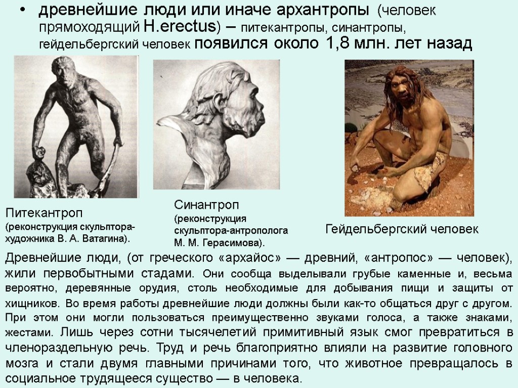 древнейшие люди или иначе архантропы (человек прямоходящий H.erectus) – питекантропы, синантропы, гейдельбергский человек появился